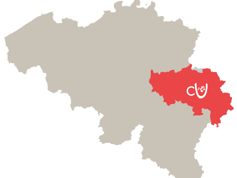carte-liège-biscuit